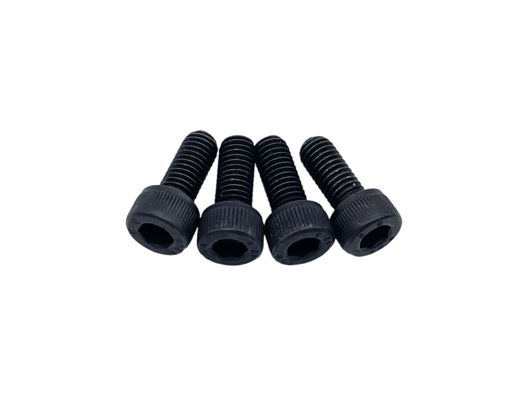 M4 screws for Zealot