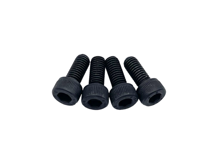 M4 screws for Zealot
