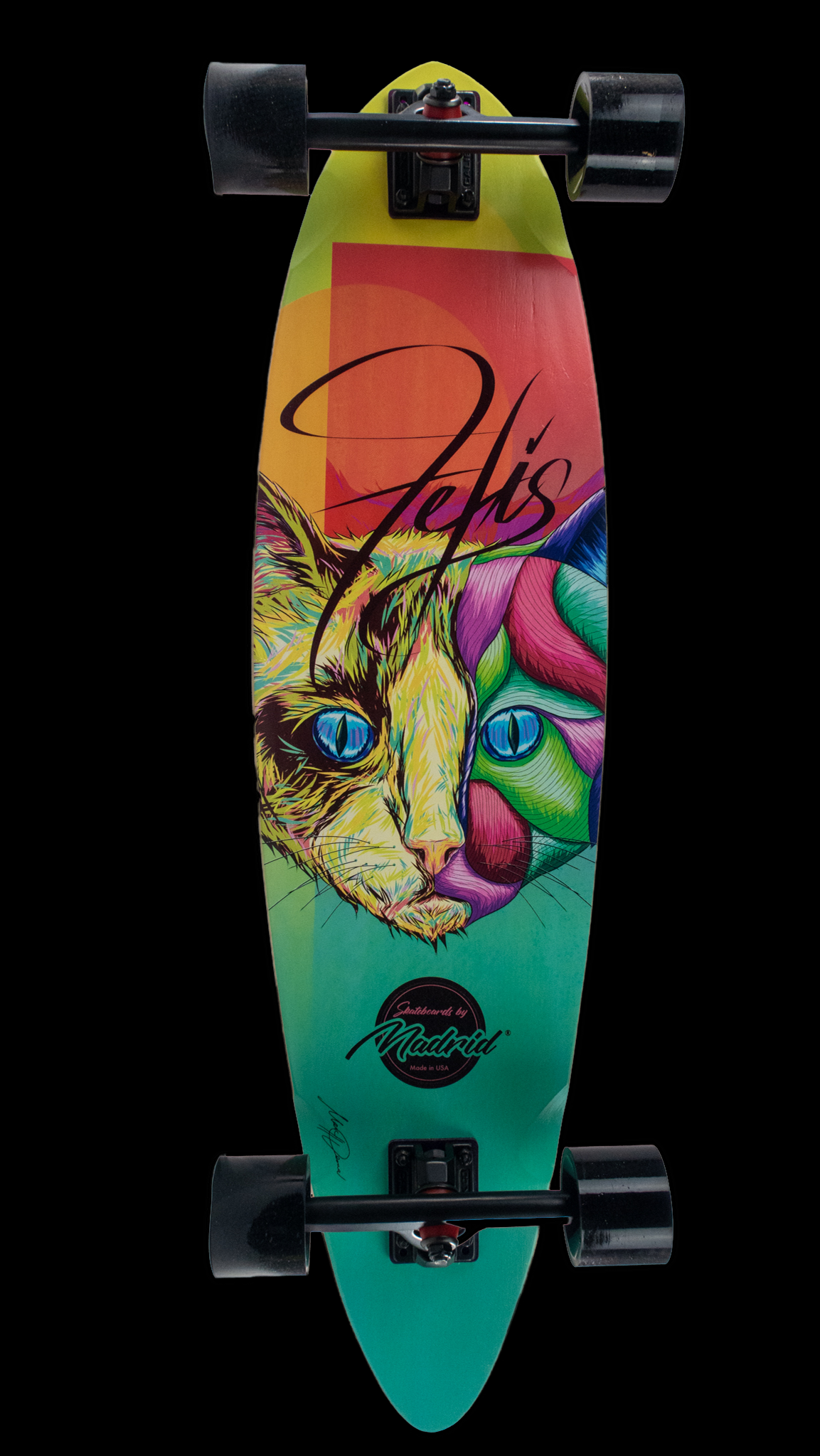 Felis_2.png?v=1608154734