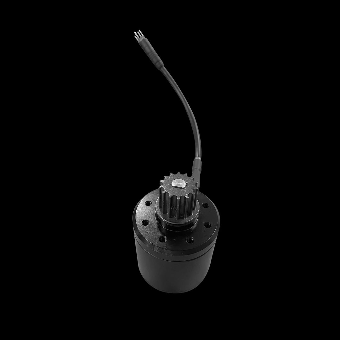 Backfire Zealot 750w Motor