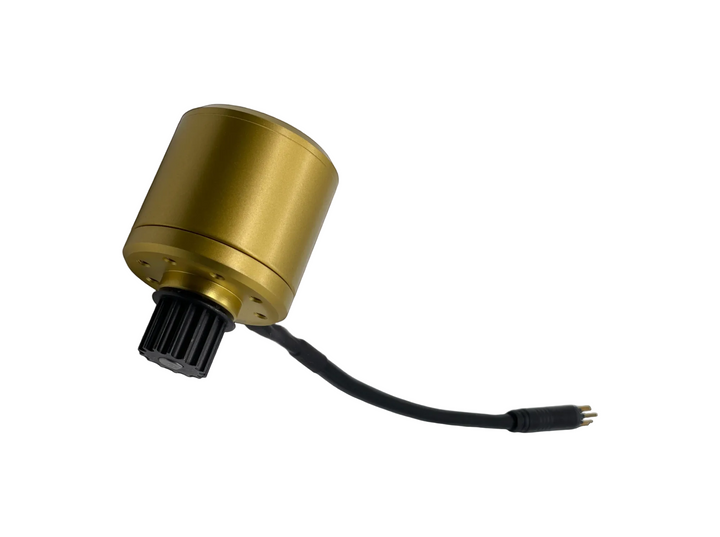 Zealot_Golden_Color_Motor