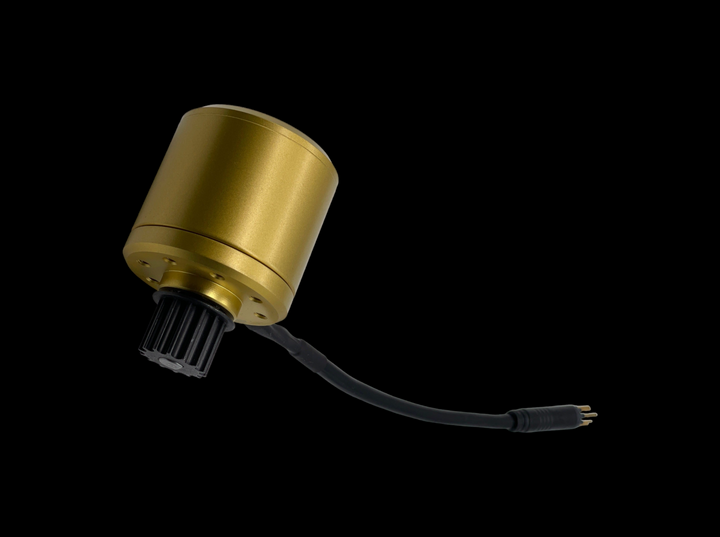 Zealot Golden Color Motor